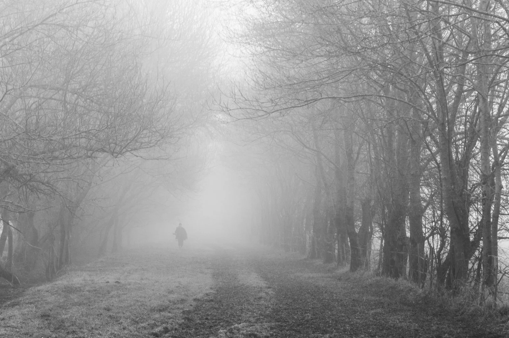 Philippe-H-expo-2-Dans-le-Brouillard.jpg