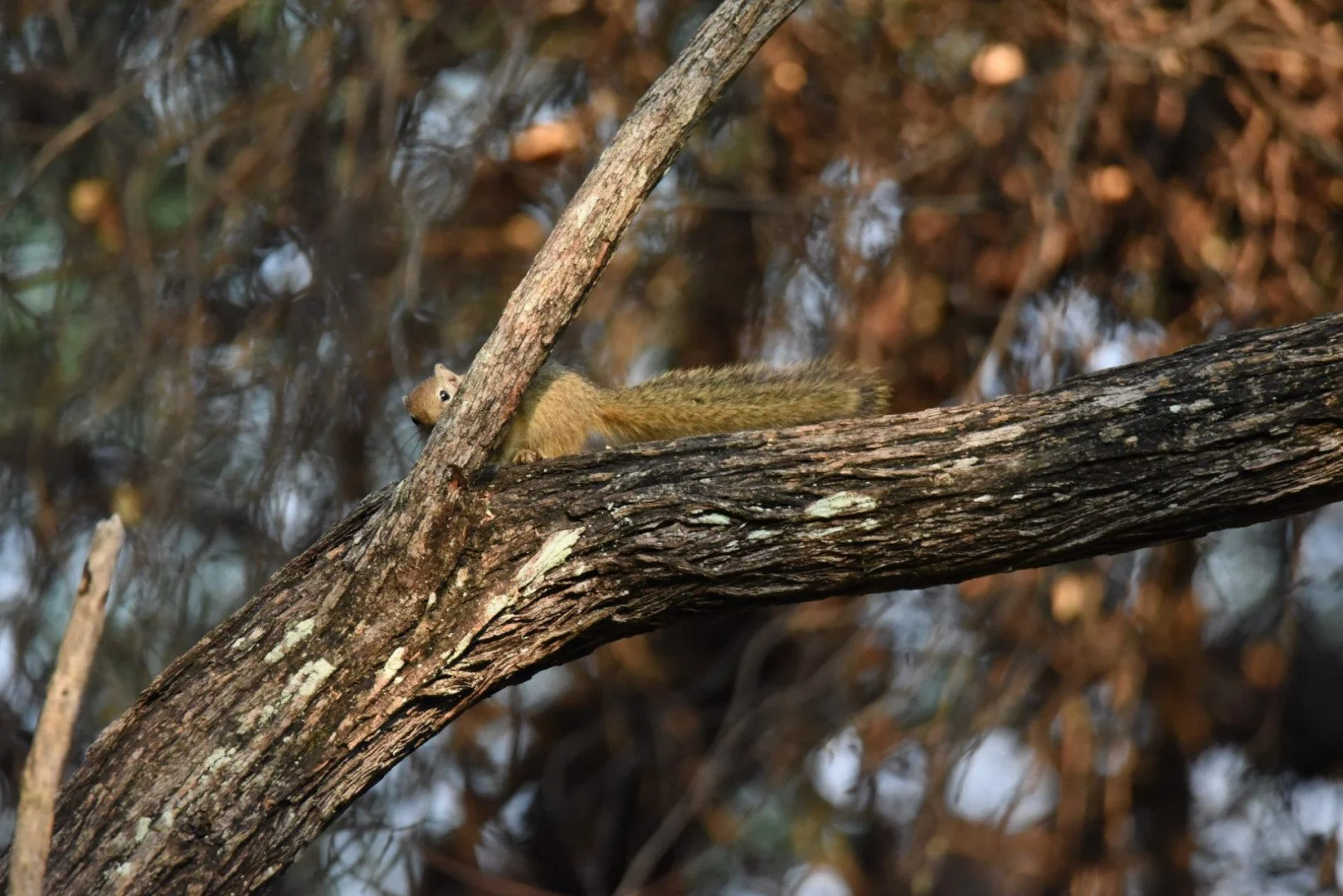 HM_DSC_6166a.jpg