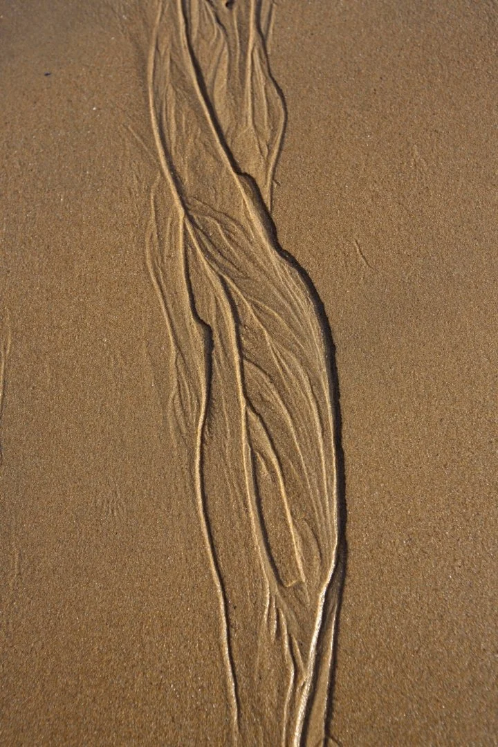 Qand-la-mer-sculpte-la-plage-en-se-retirant.jpg
