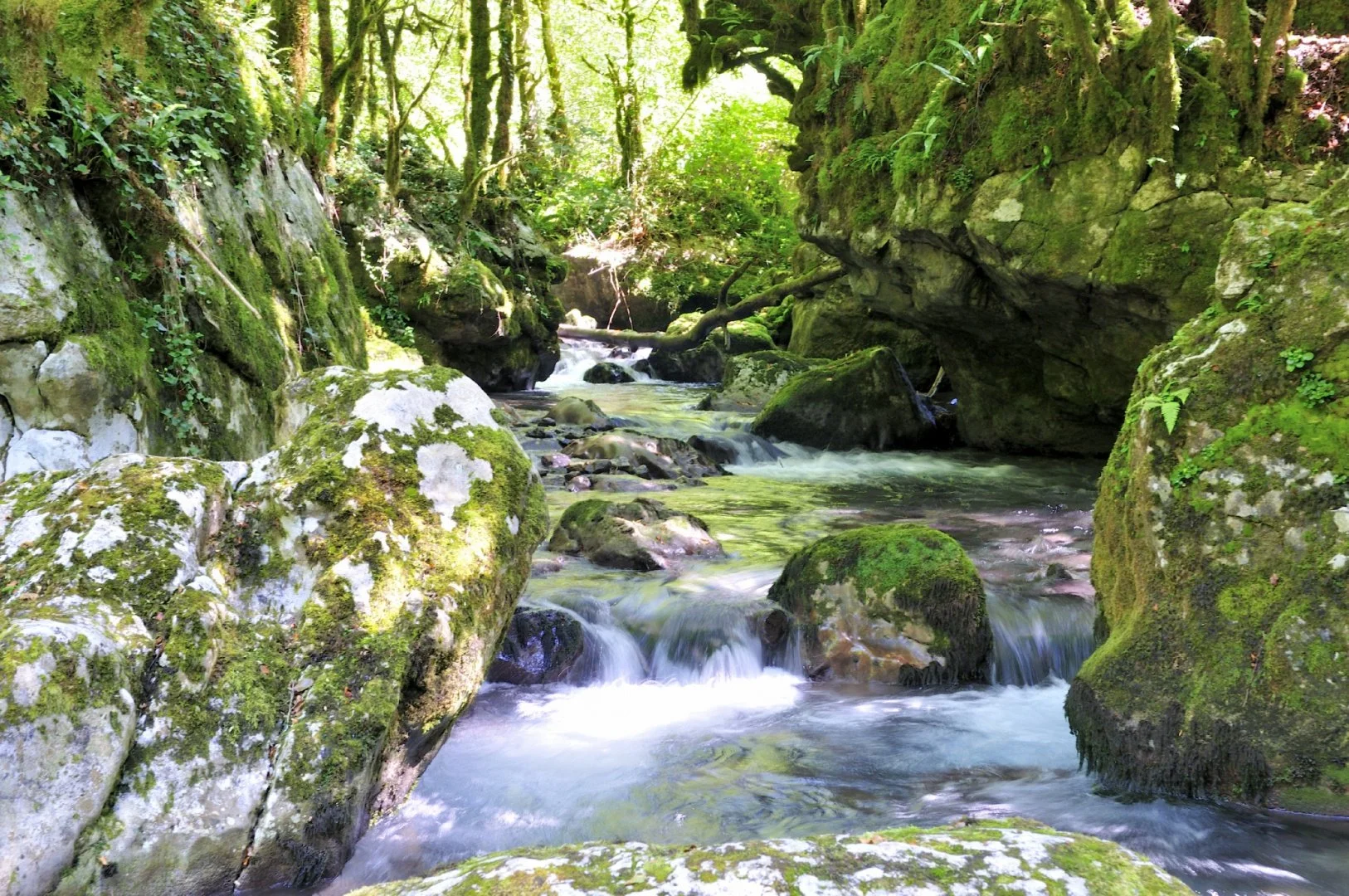 Cest-un-trou-de-verdure-où-chante-une-rivière.jpg