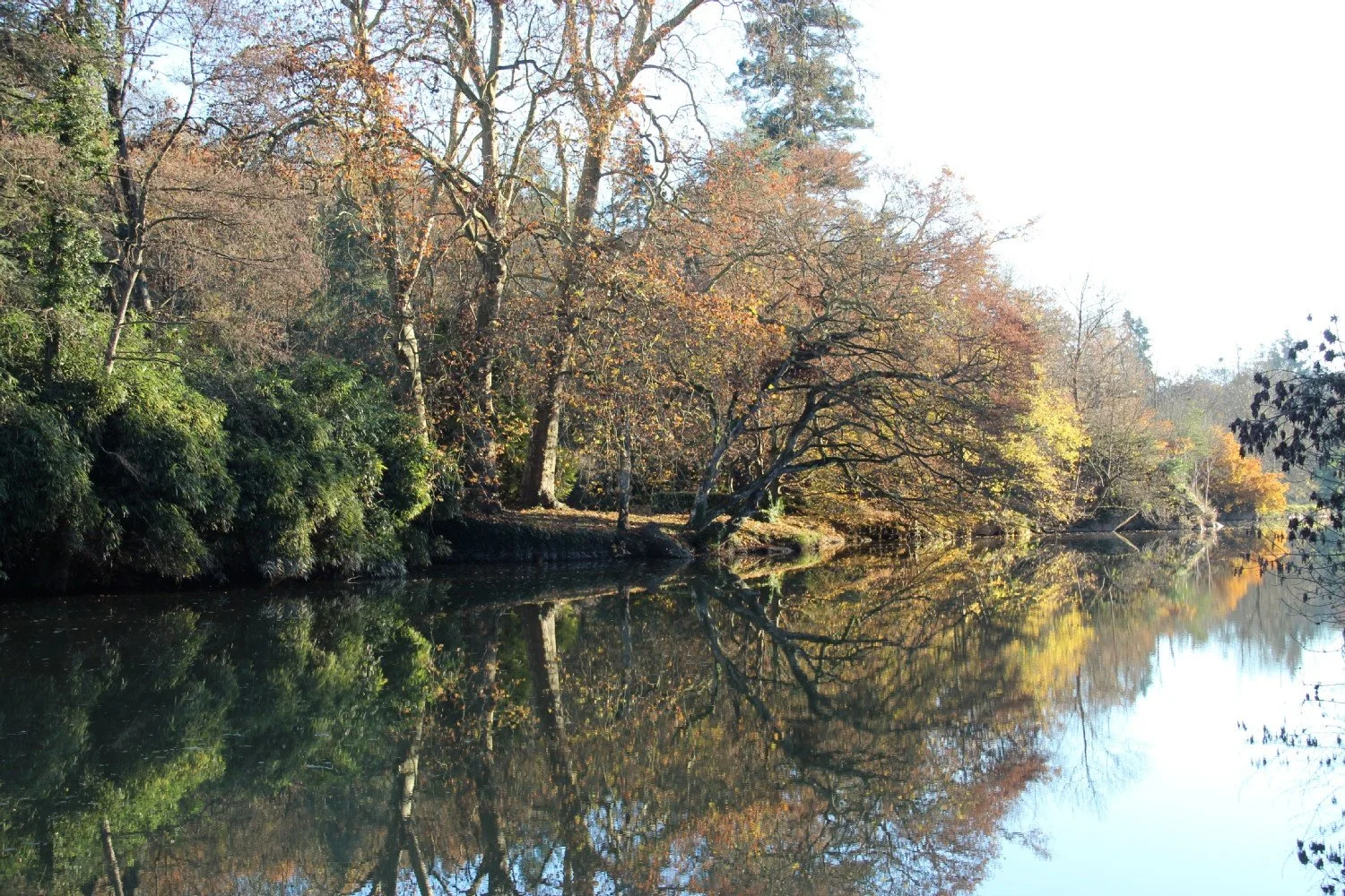 20-sur-le-halage-1.jpg