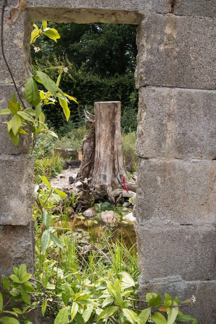 Festival-des-jardins-Chaumont-sur-Loire.jpg