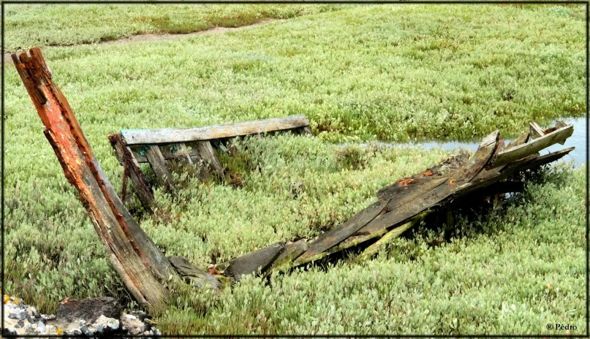 19-bateau.jpg