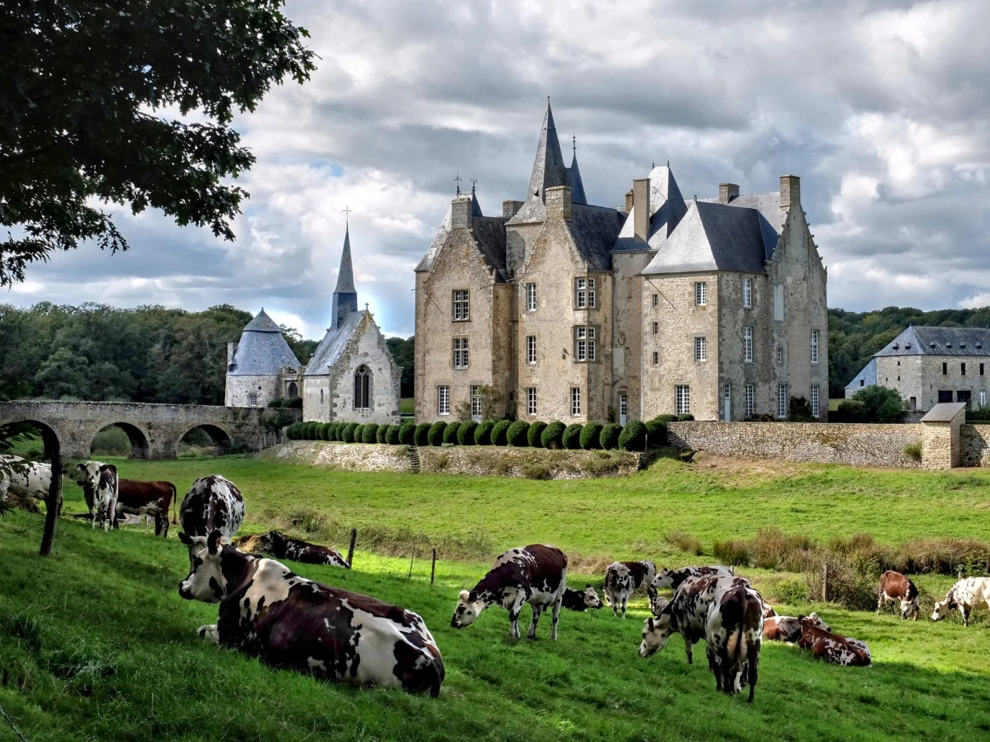 Laval-Image-Defi-Photos-60-ans-Mayenne-125.jpg