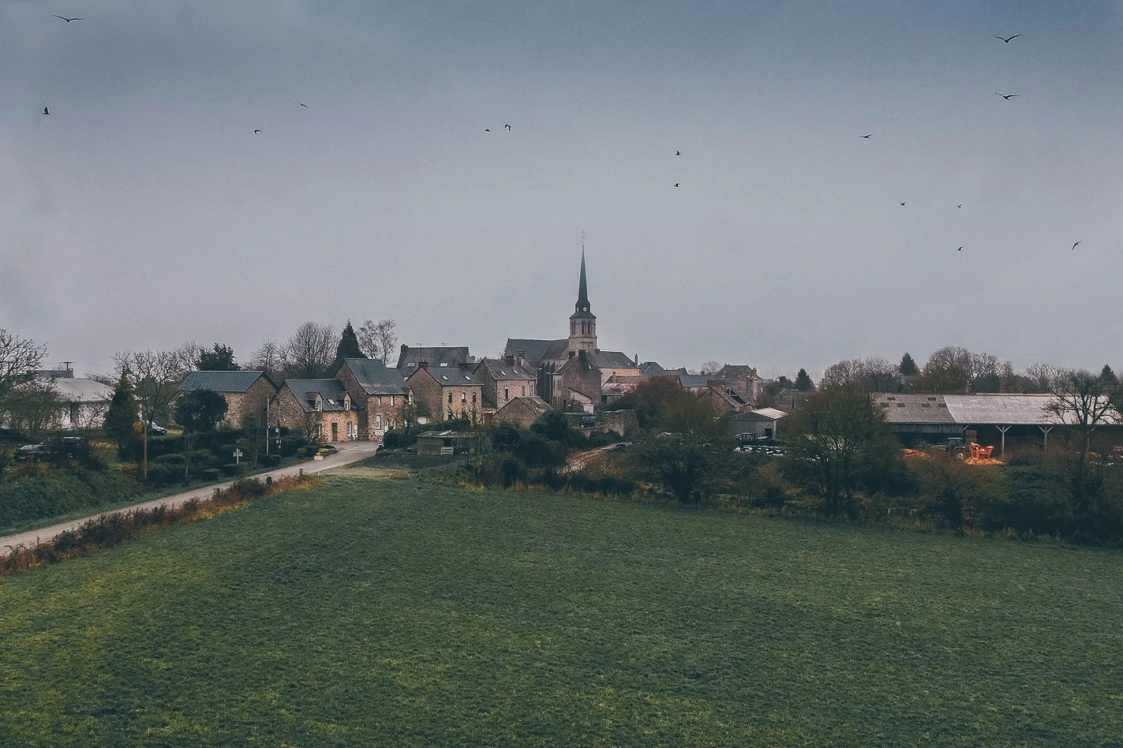 Sace-Haut.jpg