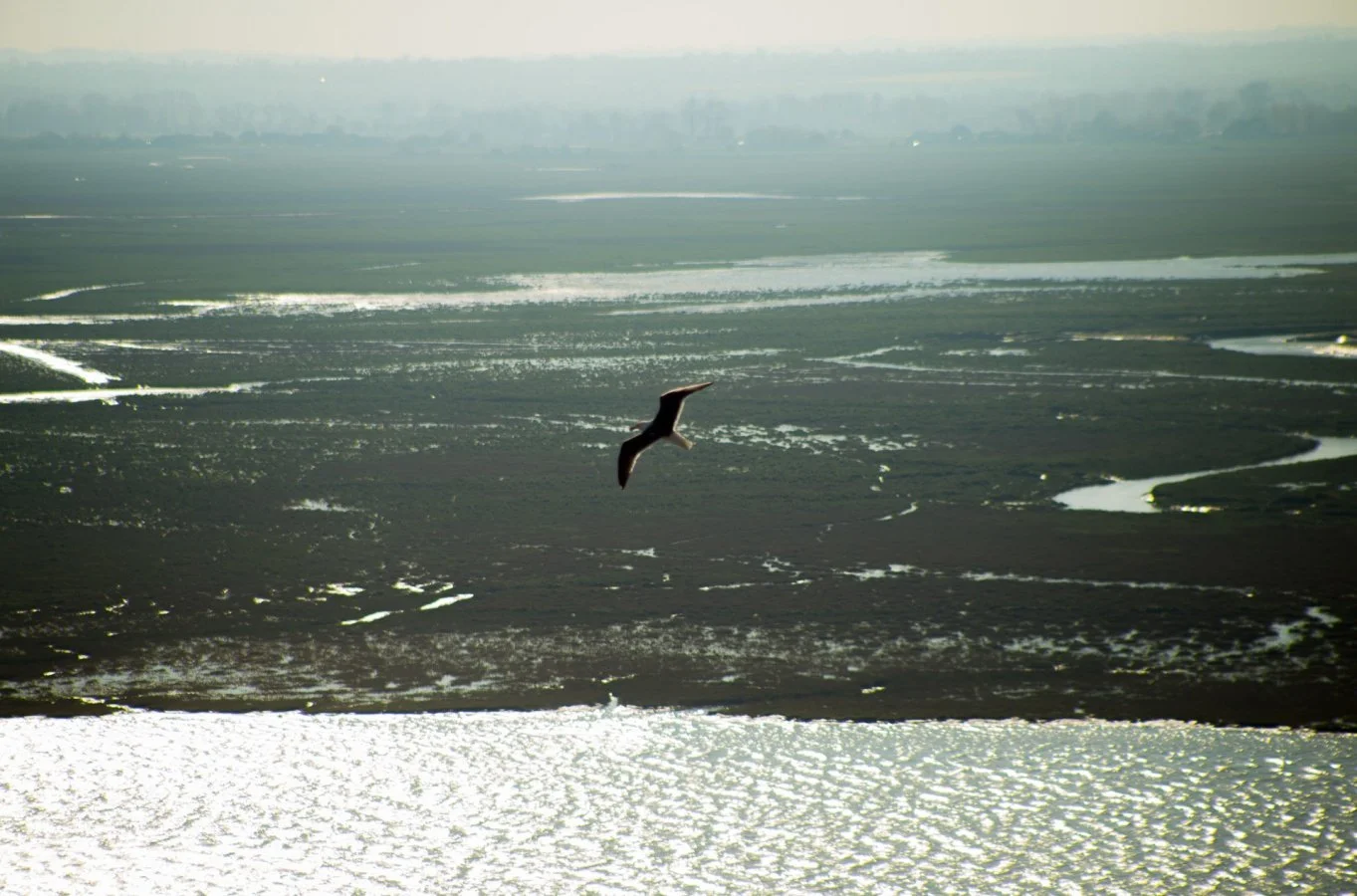 Polder.jpg
