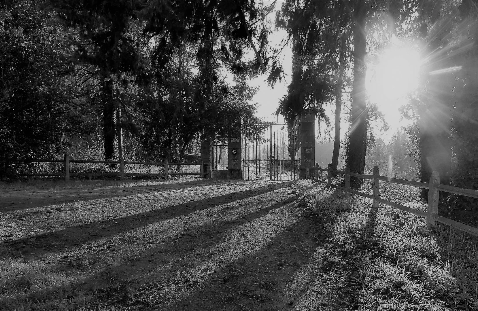 Ombre-et-lumière.jpg