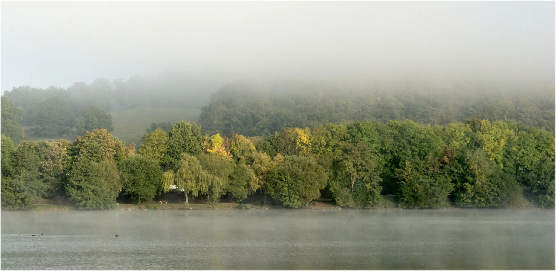 Matin-dautomne.jpg