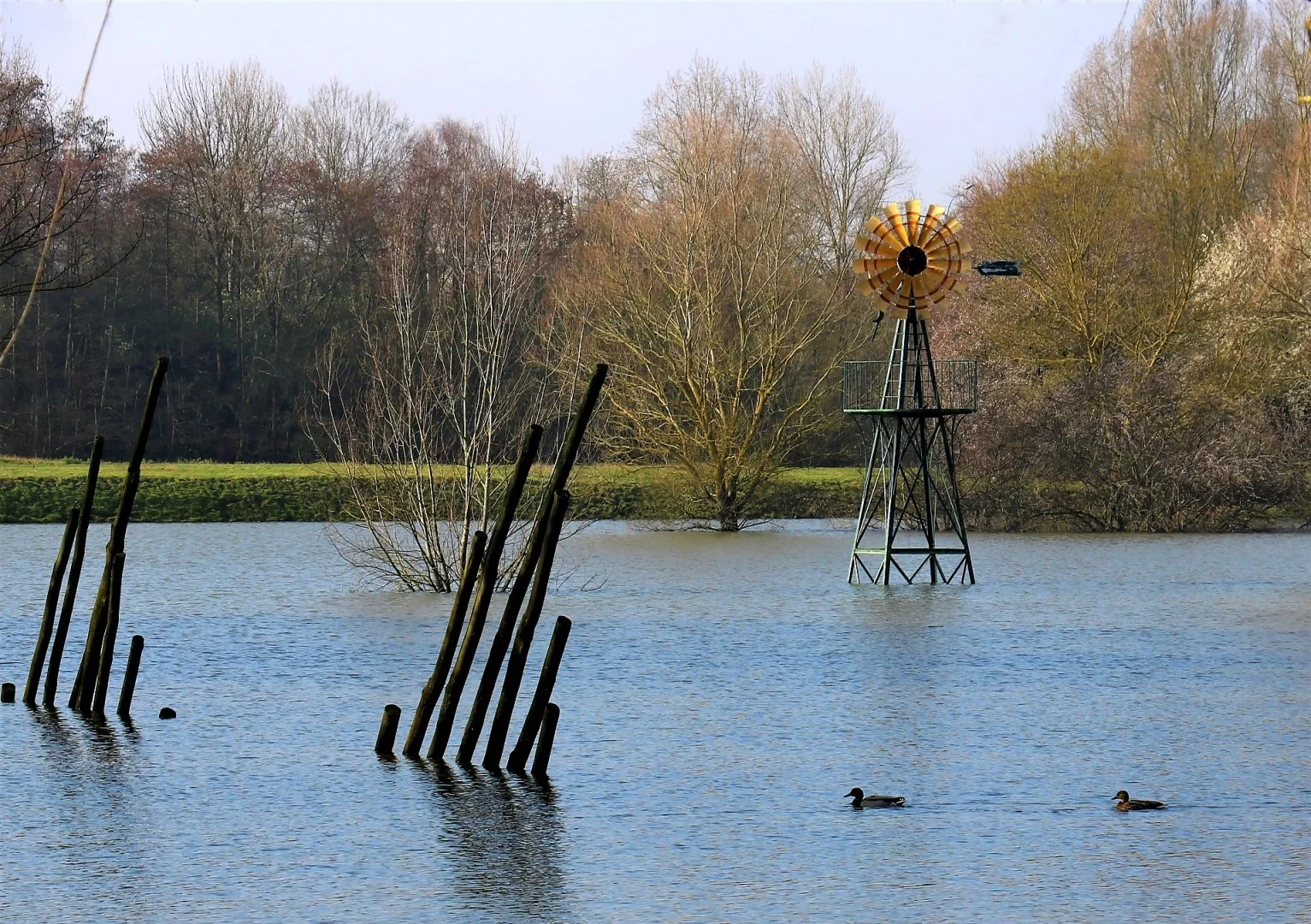 Les-pieds-dans-leau.jpg
