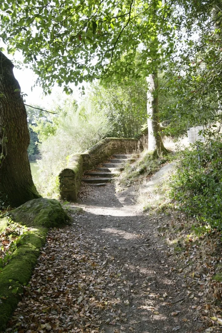 Monter-lescalier.jpg