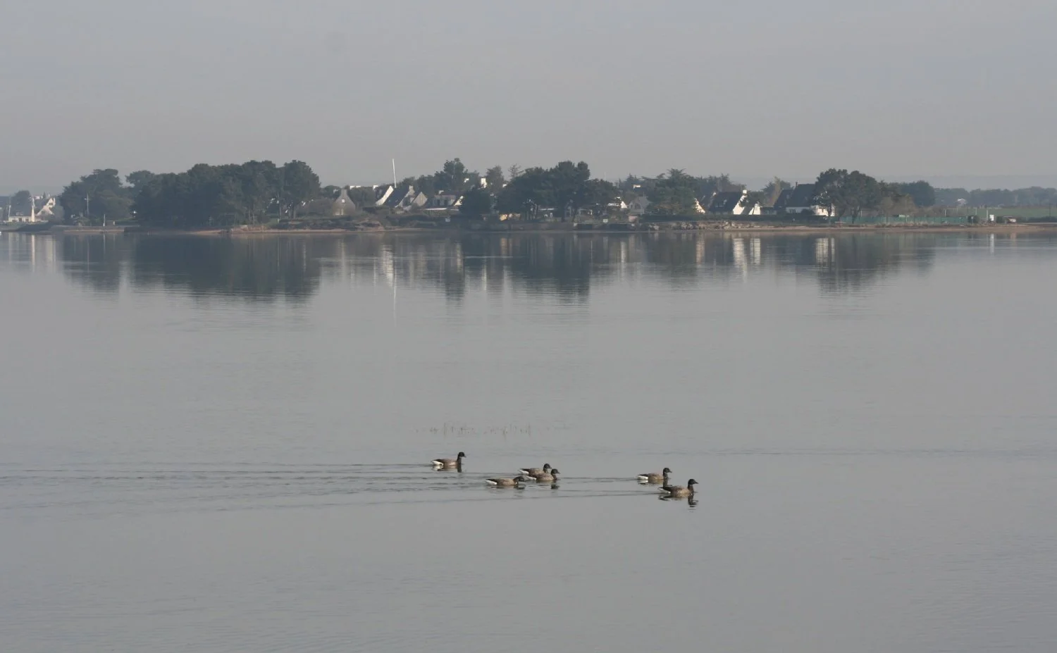 Calme-plat_li.jpg
