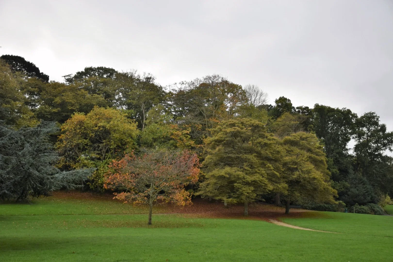 Automne_li.jpg
