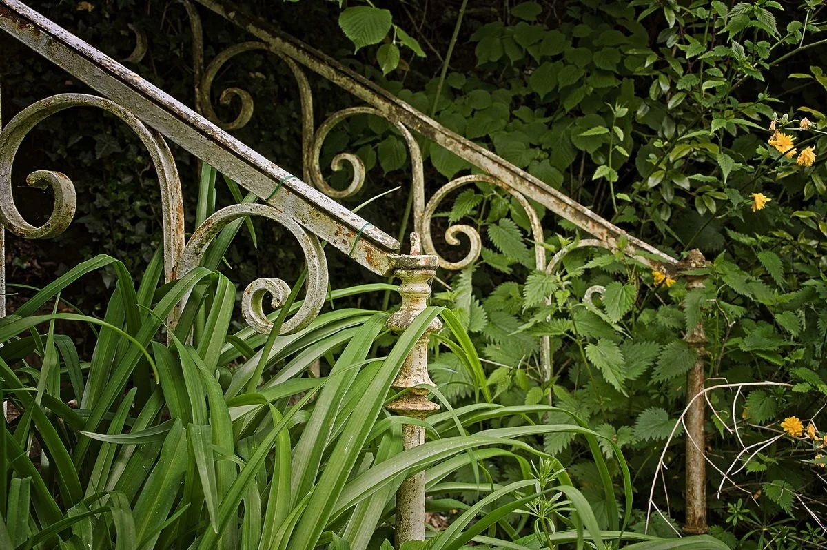 5-escalier-oublie.jpg