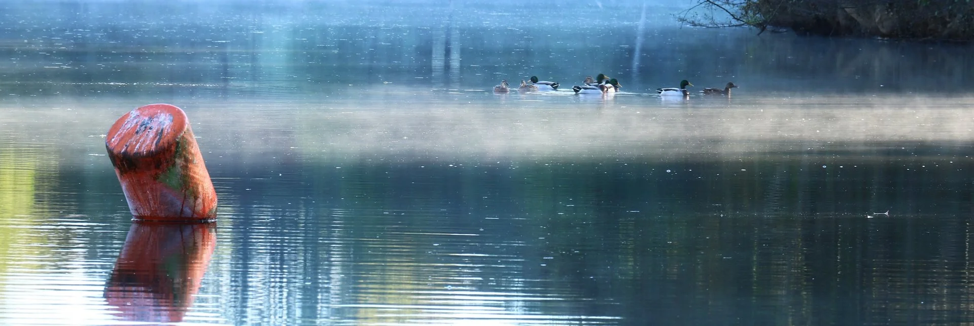 Fraîcheur-matinale.jpg