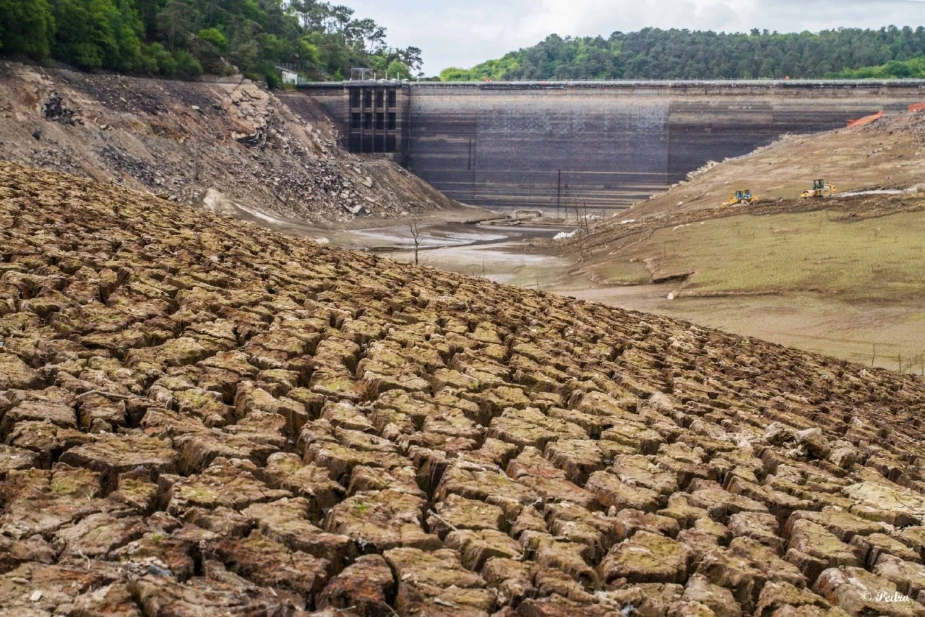 Guerlédan-vide-anse-au-barrage-4.jpg