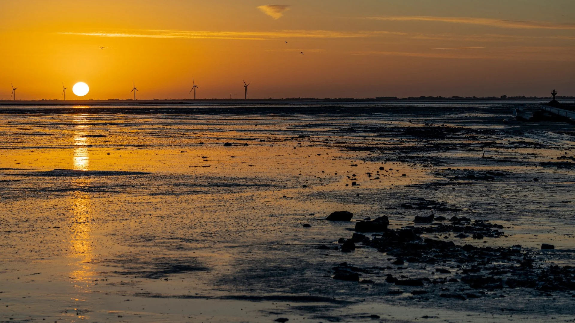 Noirmoutier-20-Lever-de-soleil-sur-le-Gois.jpg