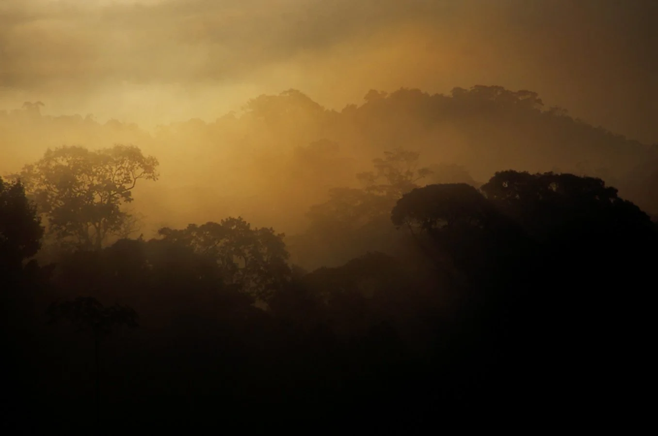 Lever-du-soleil-sur-la-forêt-tropicale.jpg