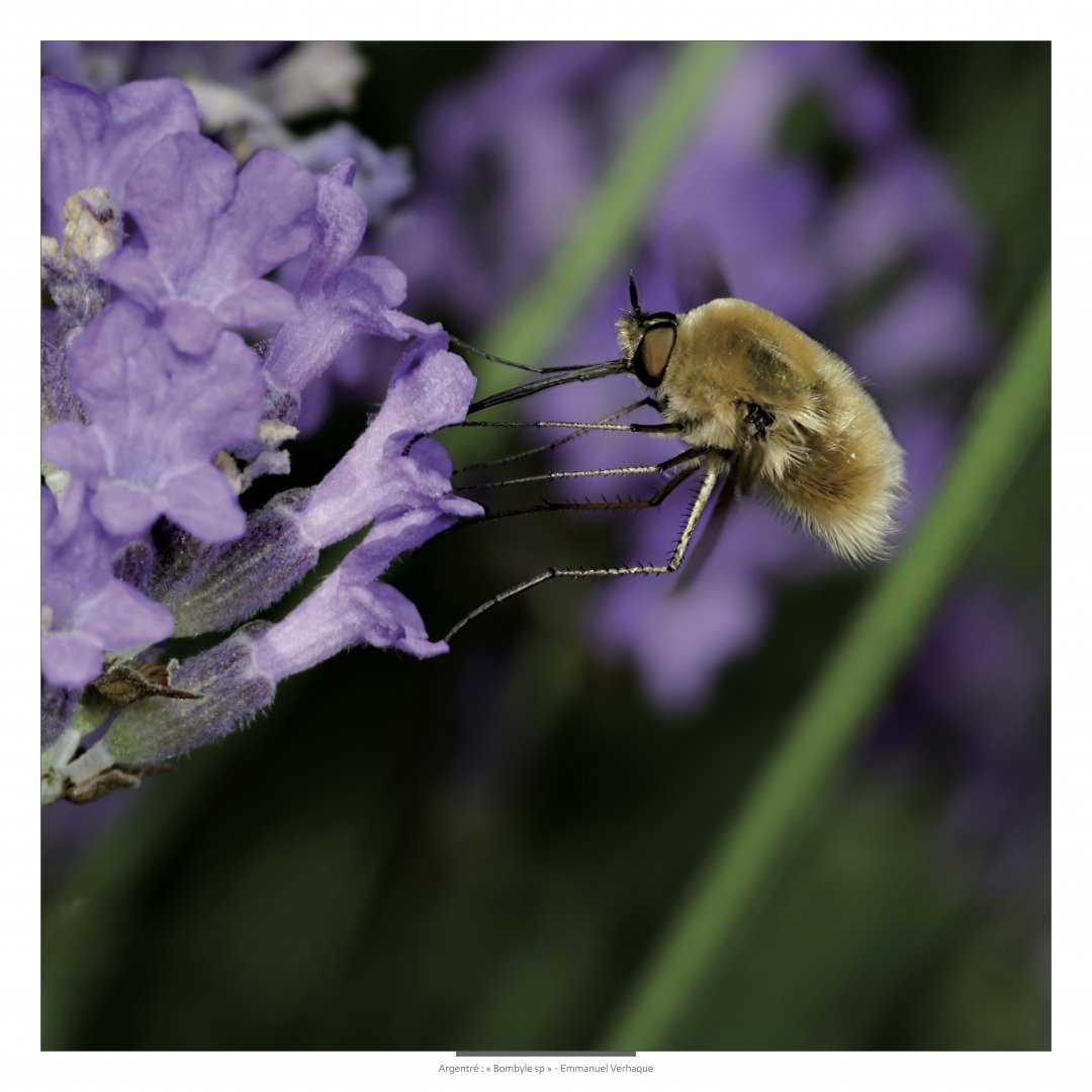 Support-leger-80X80cm-HD-5.jpg