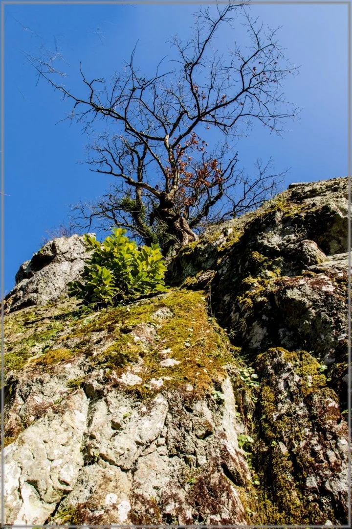 Equilibre-instable.jpg