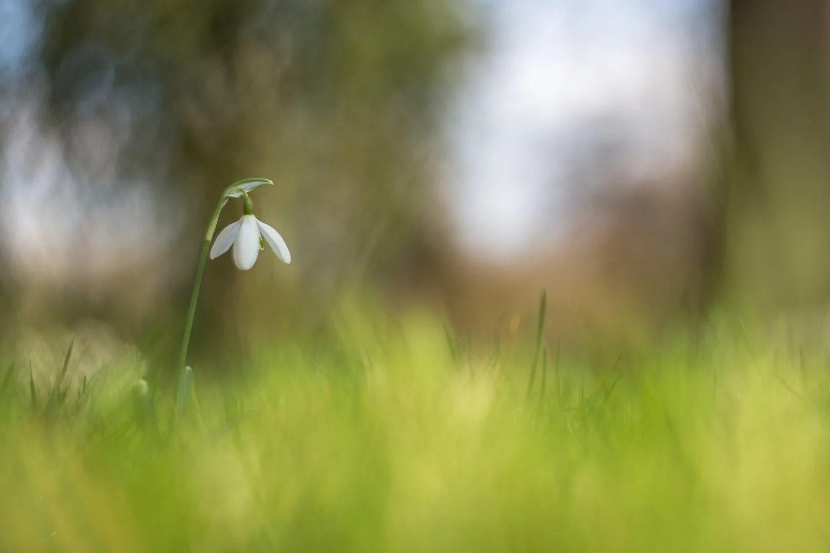 réveil-de-la-nature.jpg