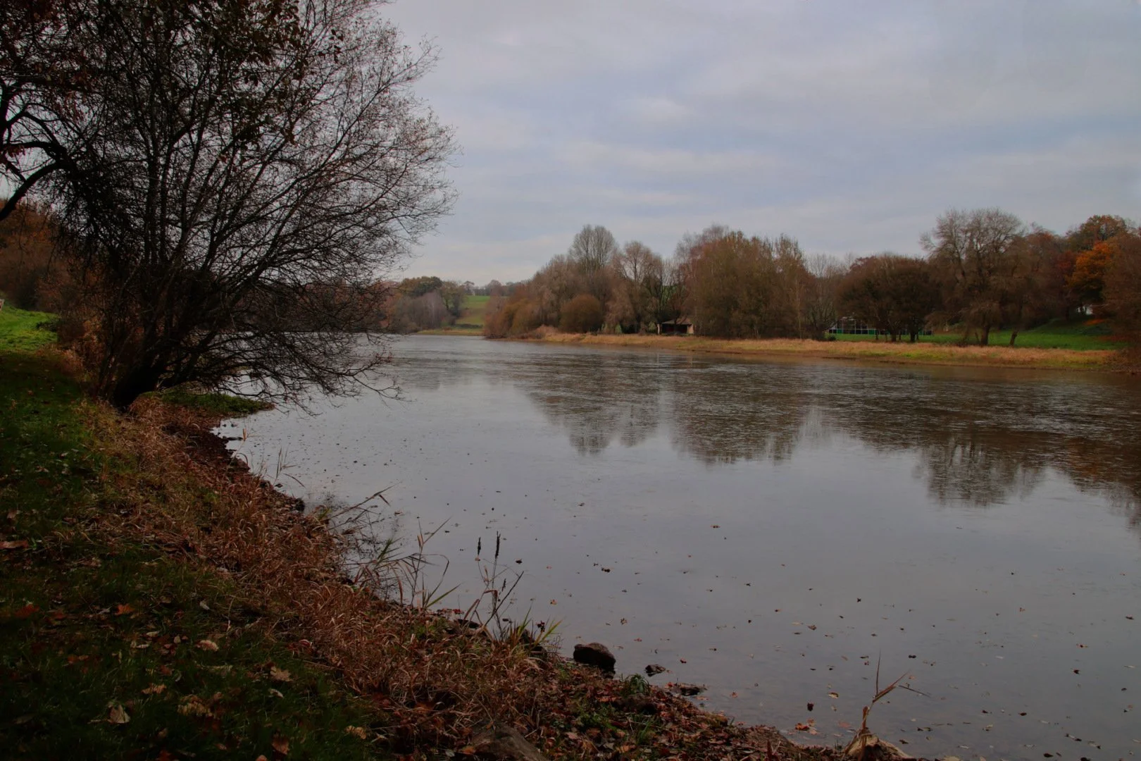 etang-gele.jpg