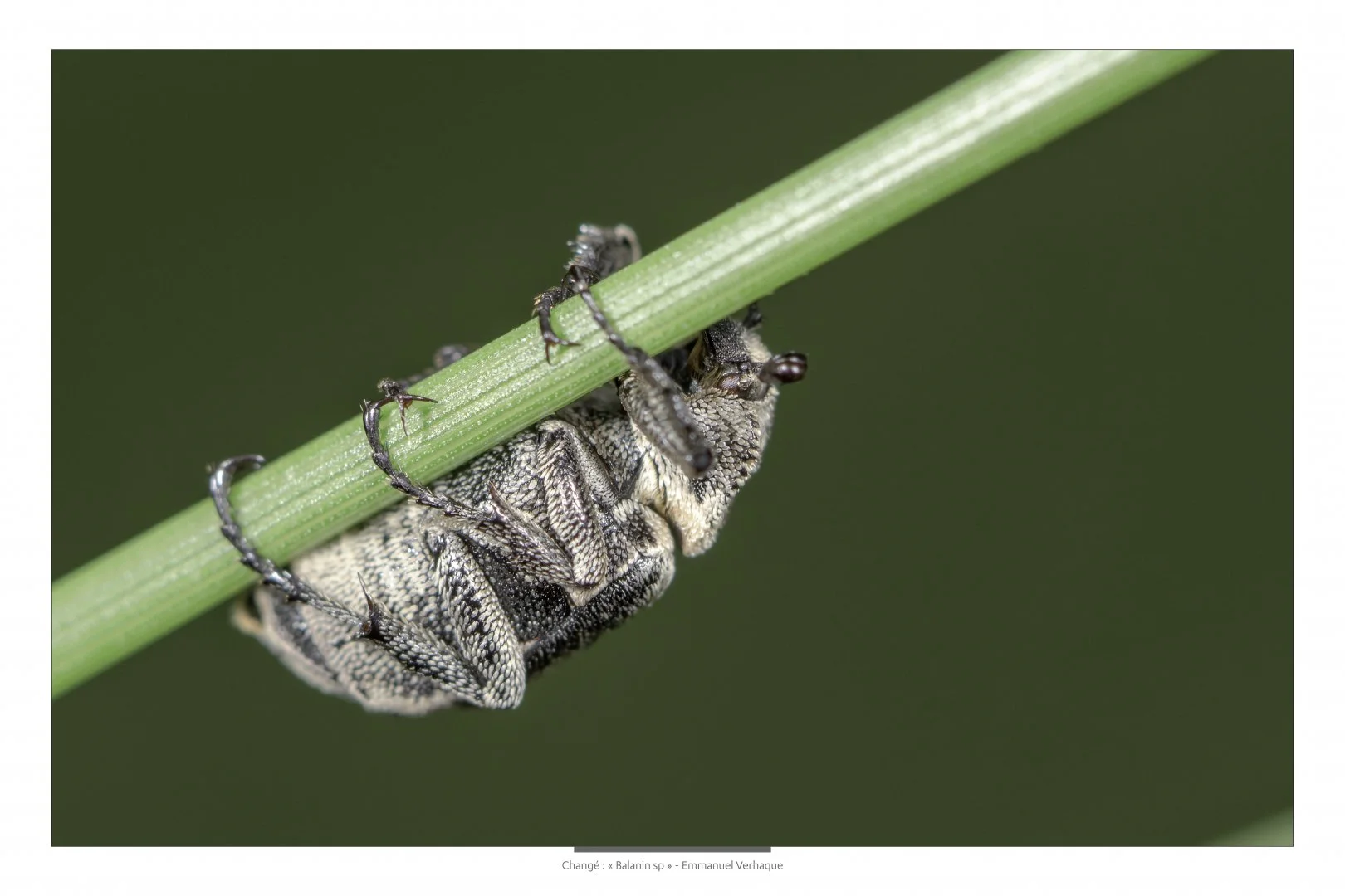Support-leger-60X90cm-HD-6.jpg