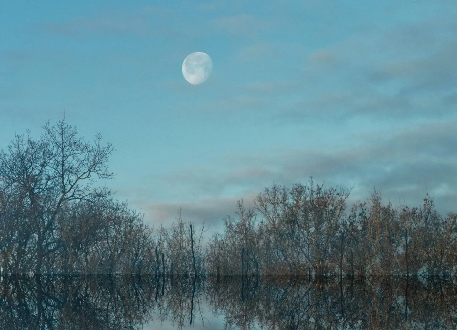 Un-Matin-de-Pleine-Lune.jpg