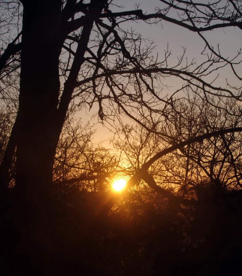 Coucher-de-Soleil.jpg