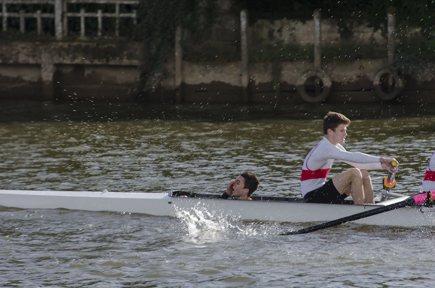 30-aviron2.jpg