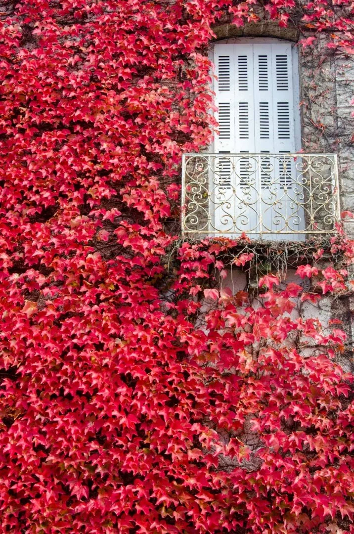 Octobre 2016