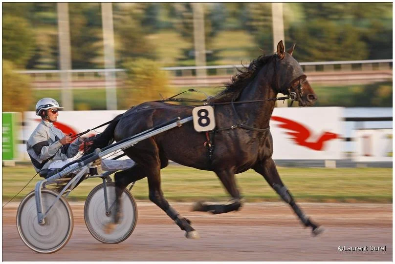 Courses à Laval