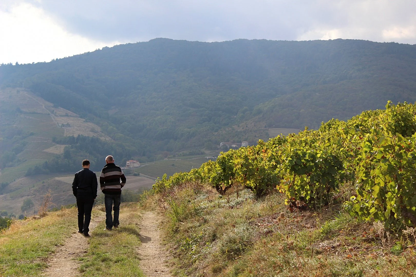 Balade-Beaujolaise.jpg