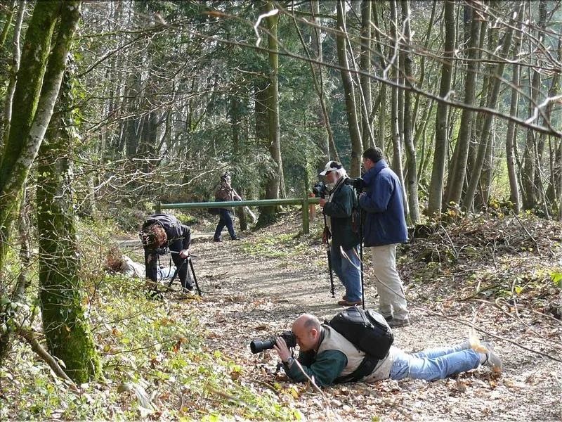 Stage Christian Konig - Bois du Tay 2010