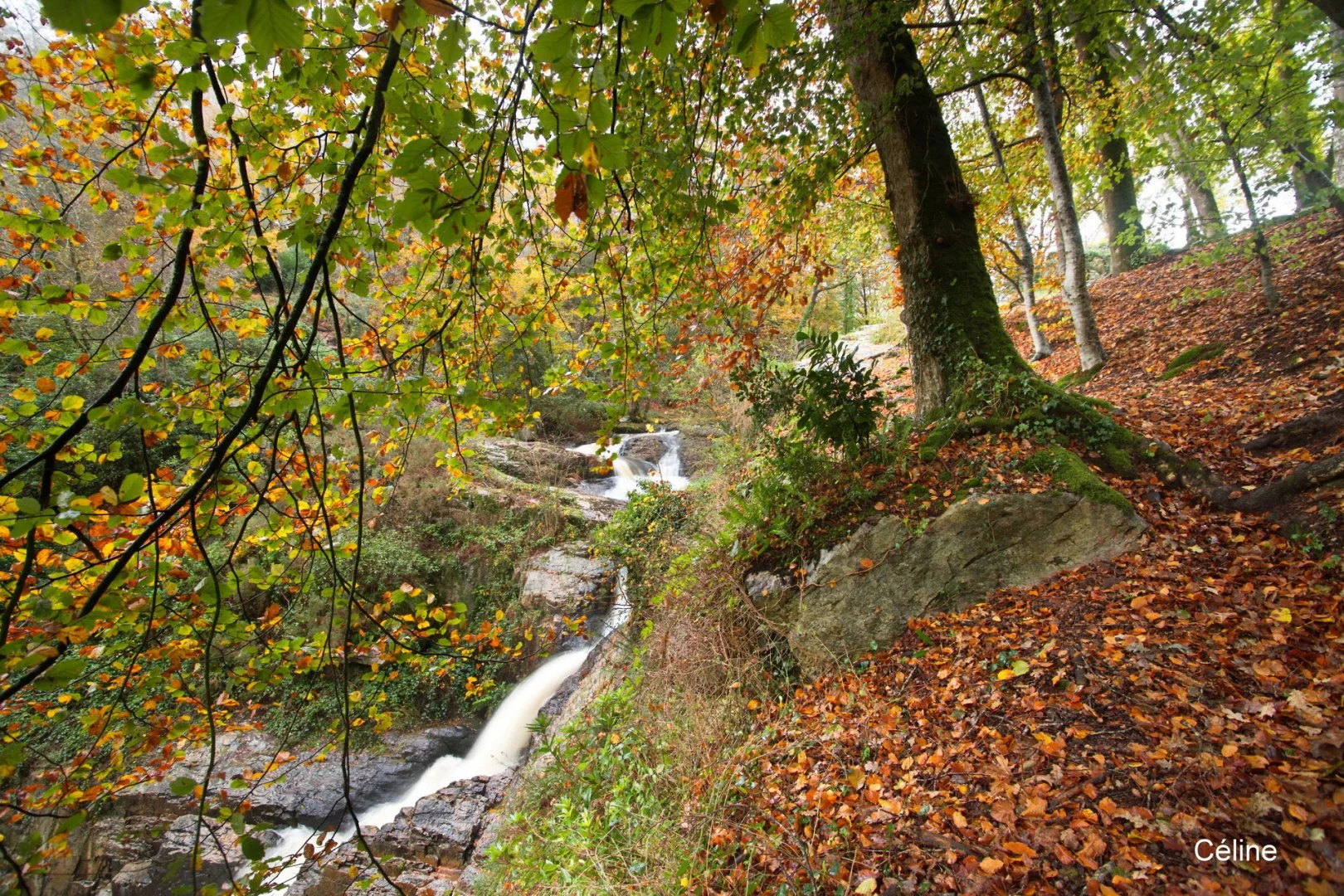 Saulges-et-Mortain_Celine_et_Nathalie_03.jpg