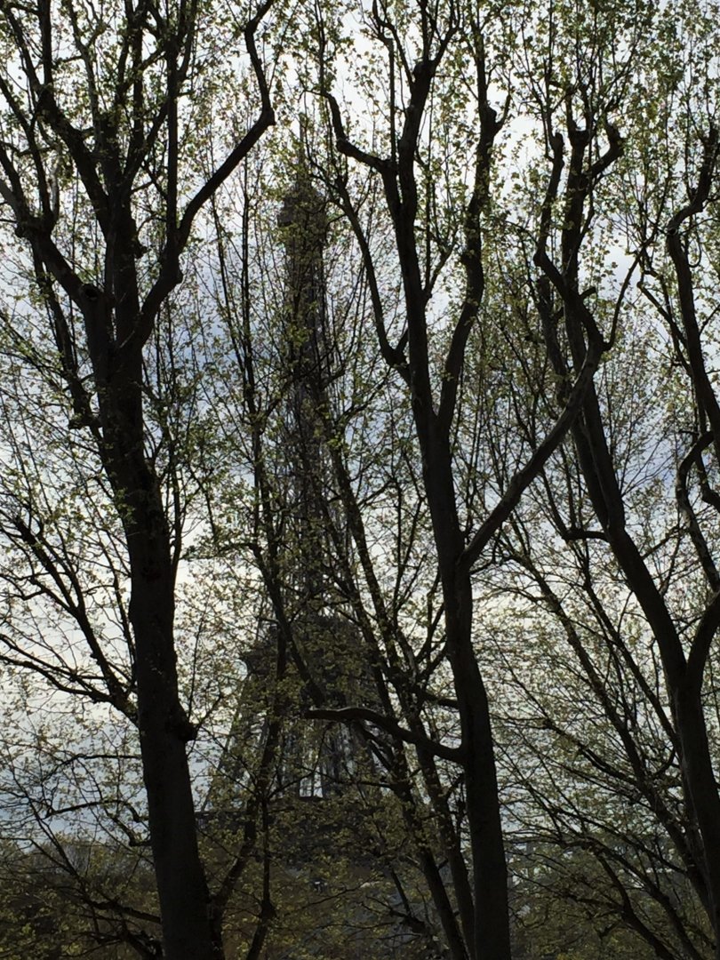 Symétries...-ou-presque.JPG