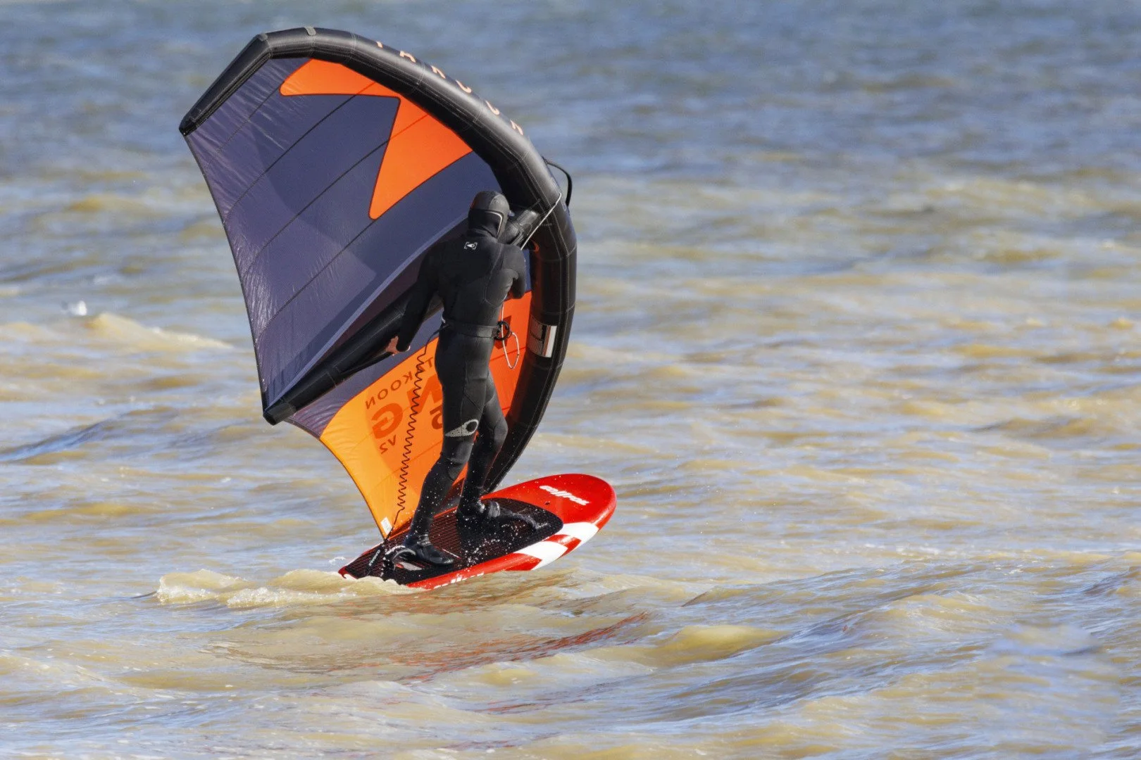 LD-Foil-3.jpg