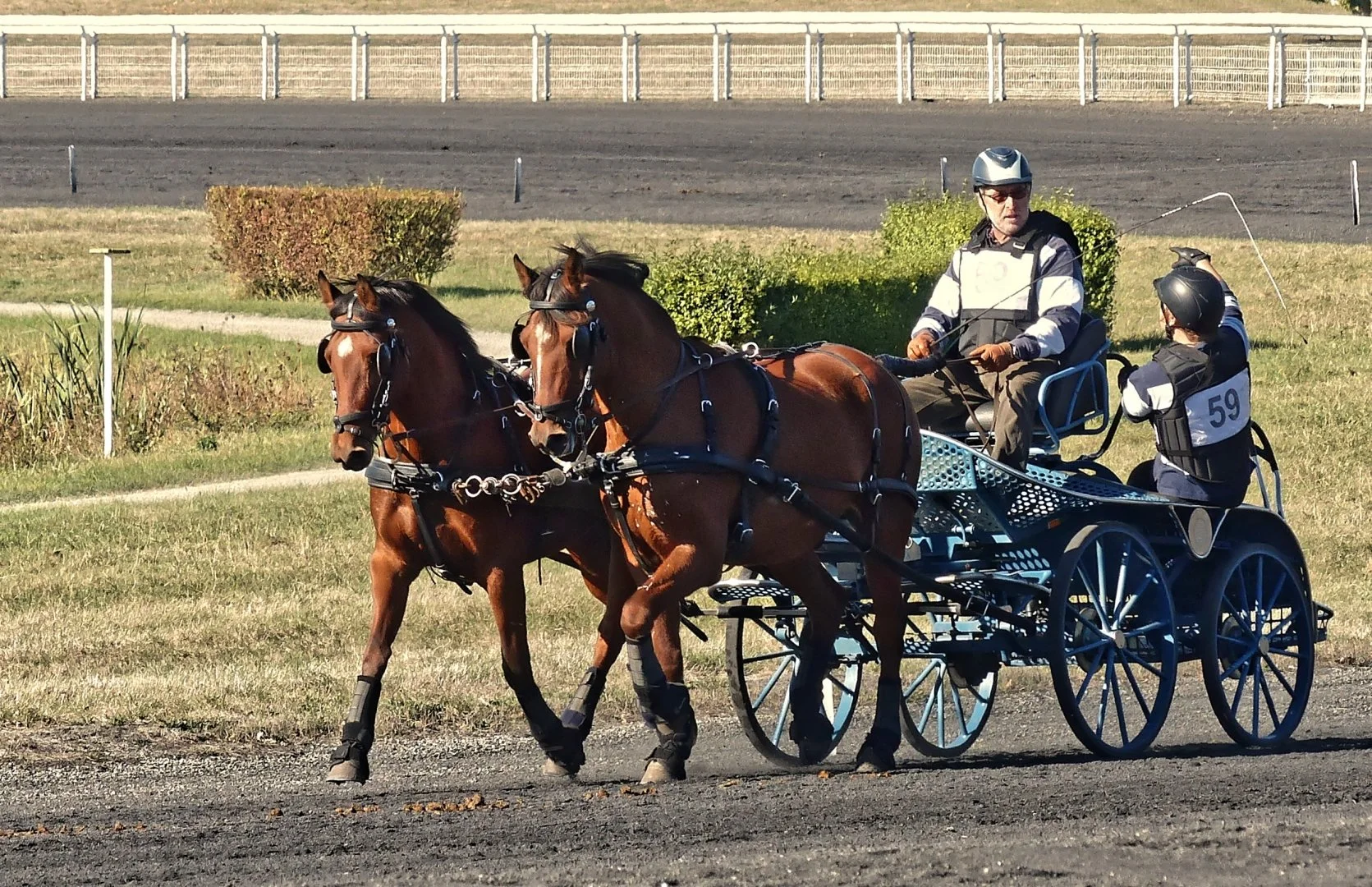 course-dattelage.jpg