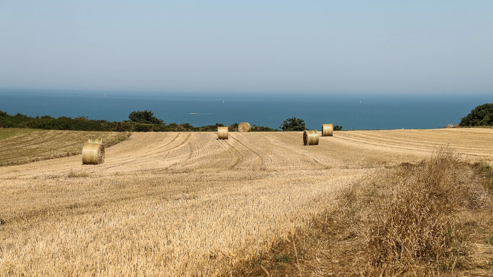 paysage-breton.jpg