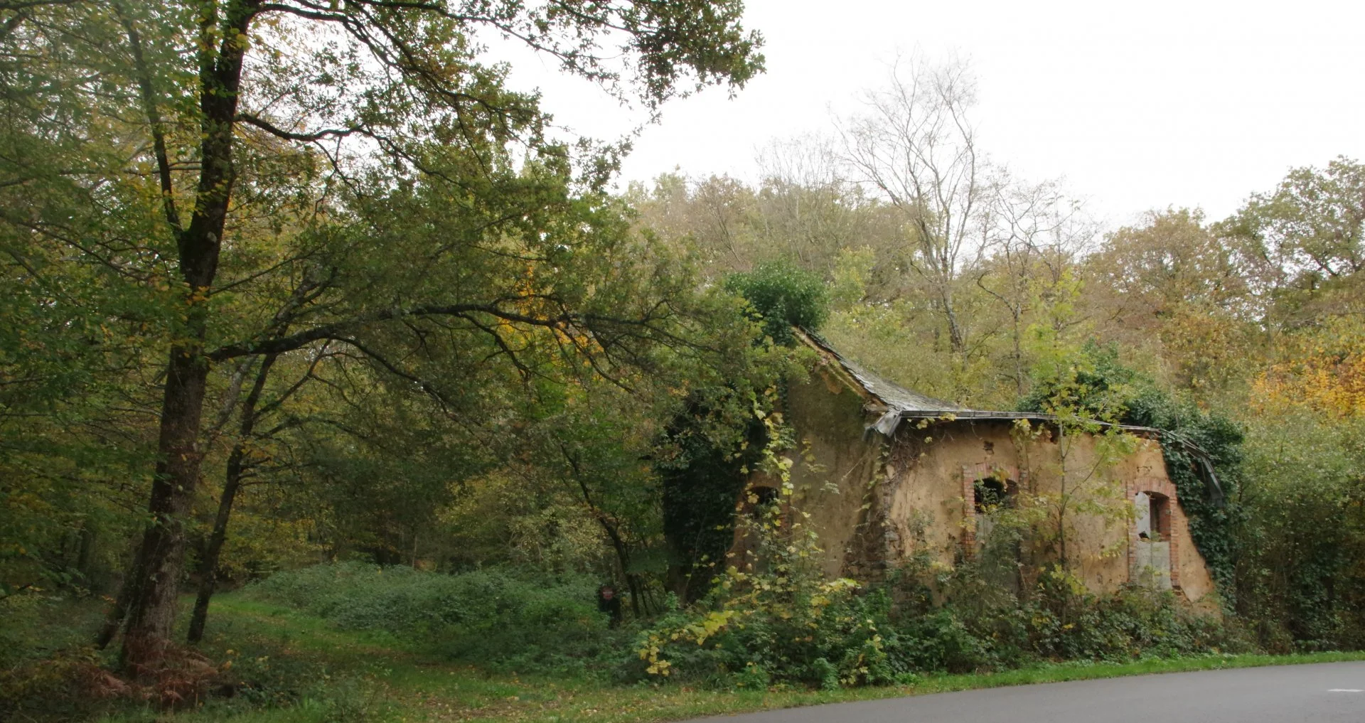 Batisse-en-ruine-en-foret-aux-couleurs-de-lautomne.JPG