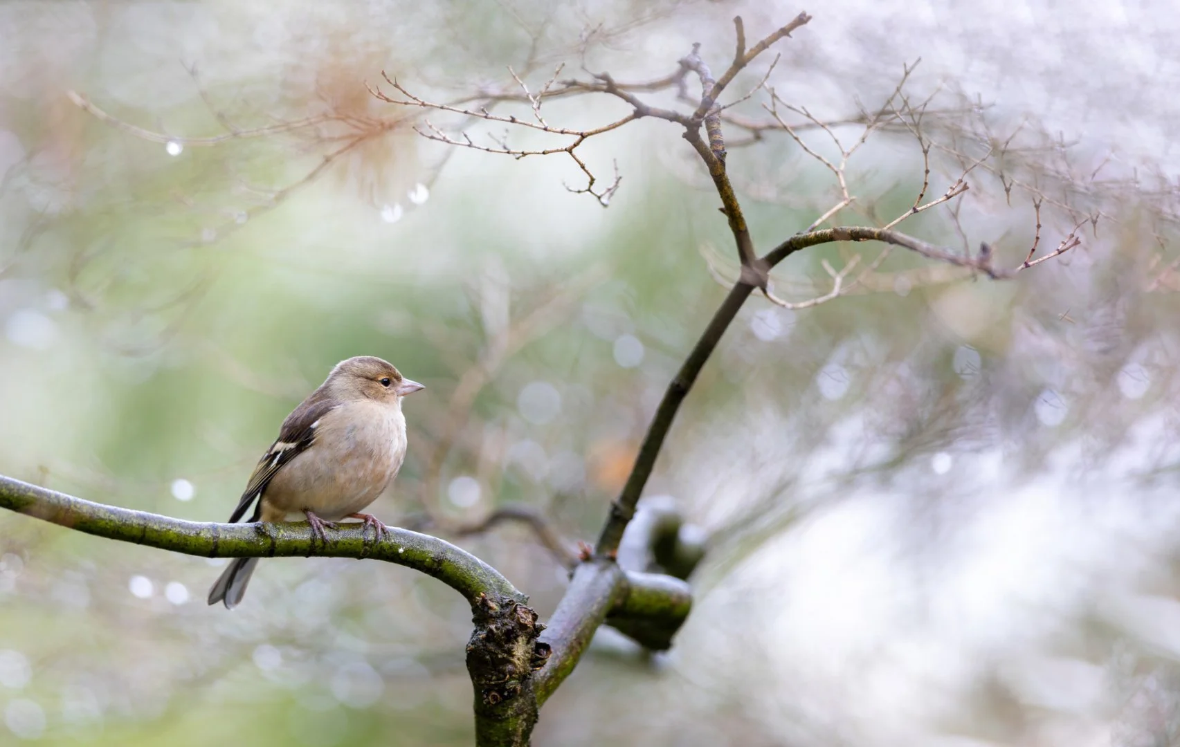 CP-02-08.jpg