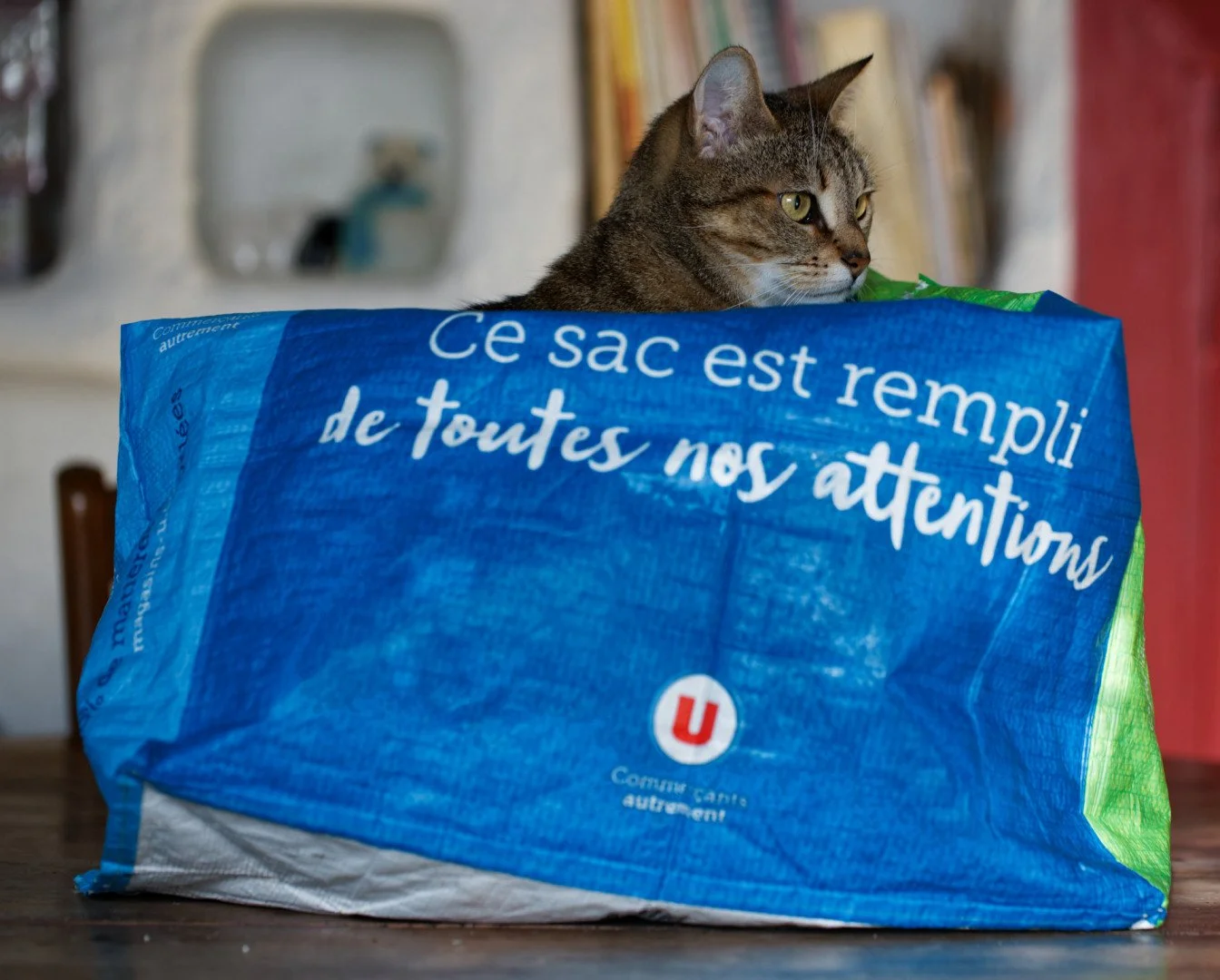 sans-titre-01.jpg