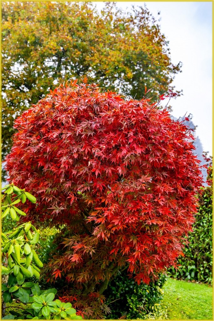 Les-couleurs-du-jardin.jpg