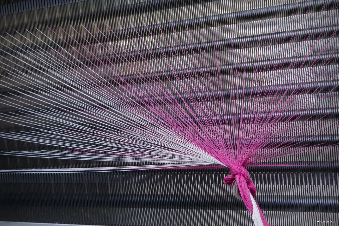 9-tissage.jpg