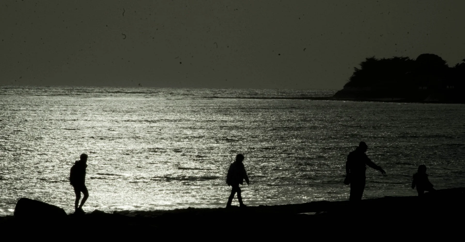 Balade-du-bord-de-mer.jpg
