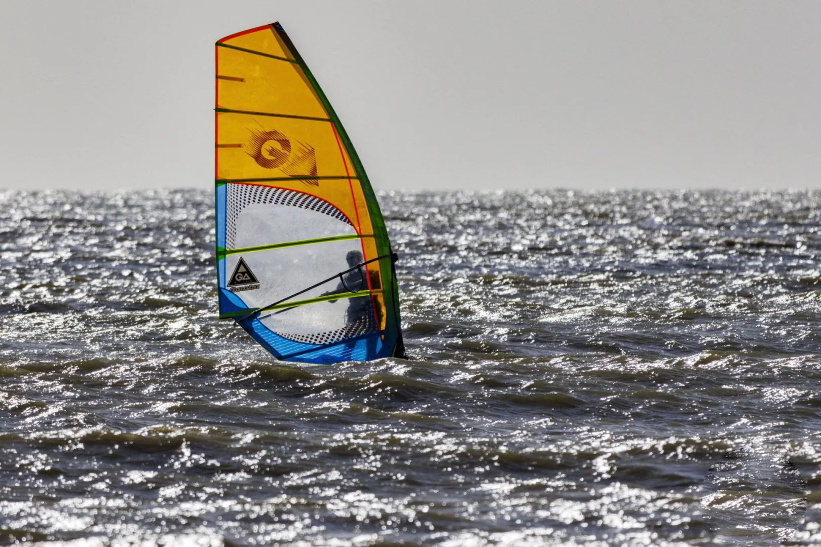 LD-Foil-1.jpg