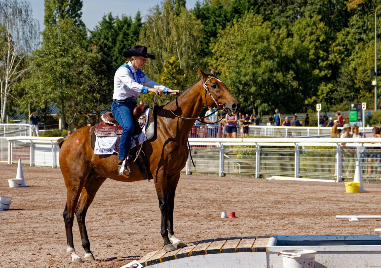 IMG_9887_DxO.jpg