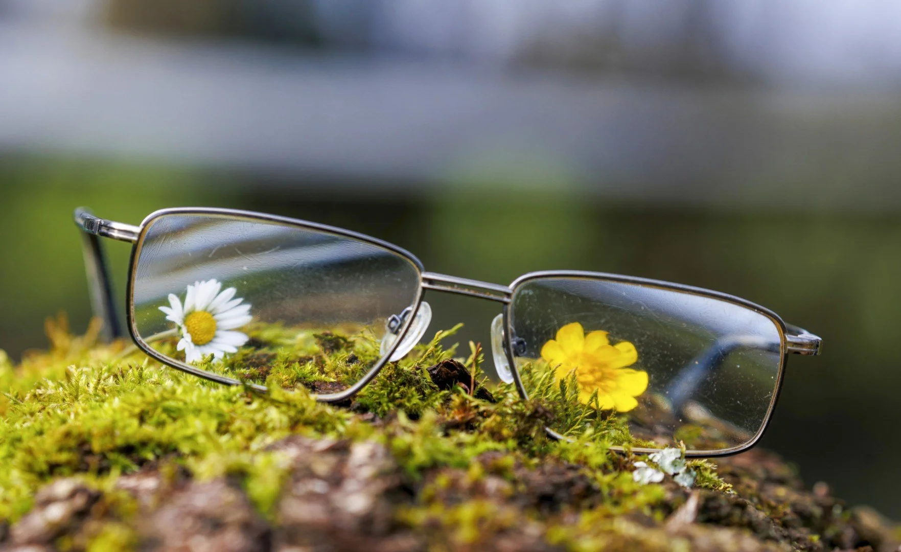 Lunette.jpg