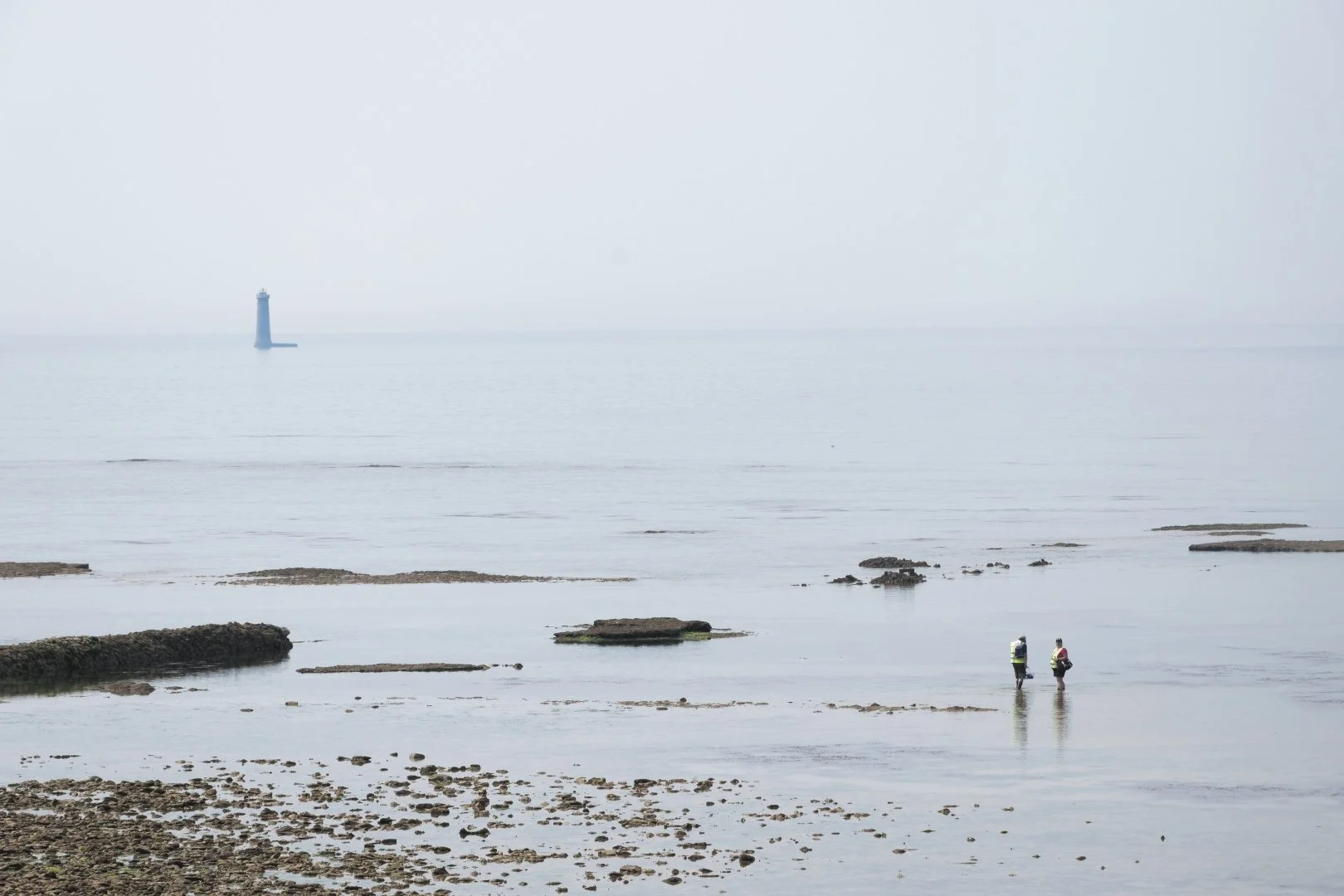 Pêche-à-pied.jpg