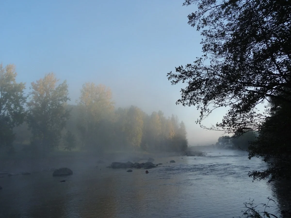 Brume-Matinale.jpg