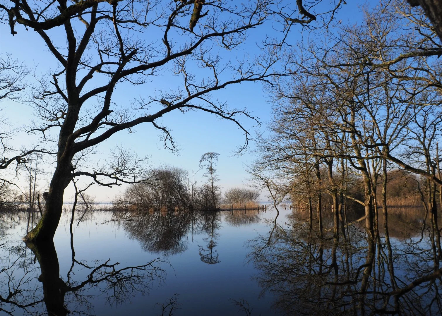 les-pieds-dans-leau-.jpg